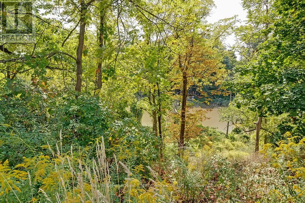 247 TRAFALGAR ROAD Image 38