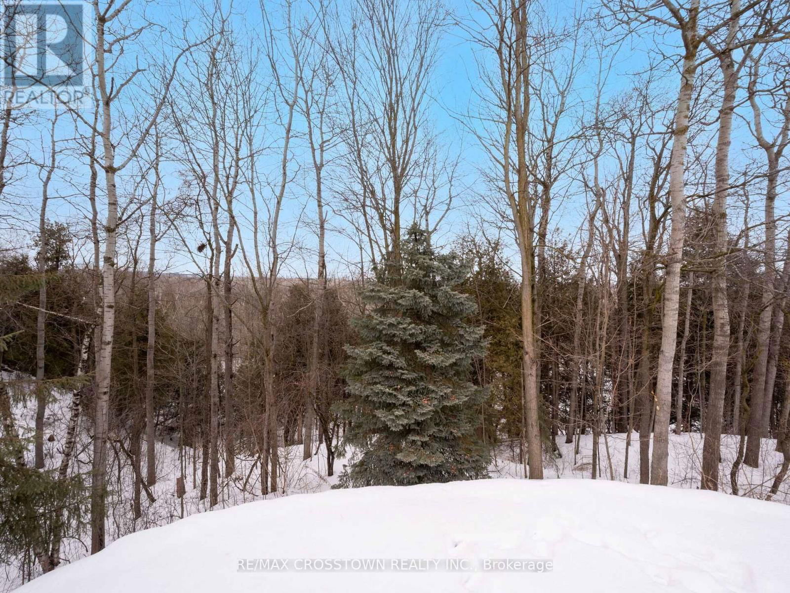 20 VALEWOOD DRIVE Image 48