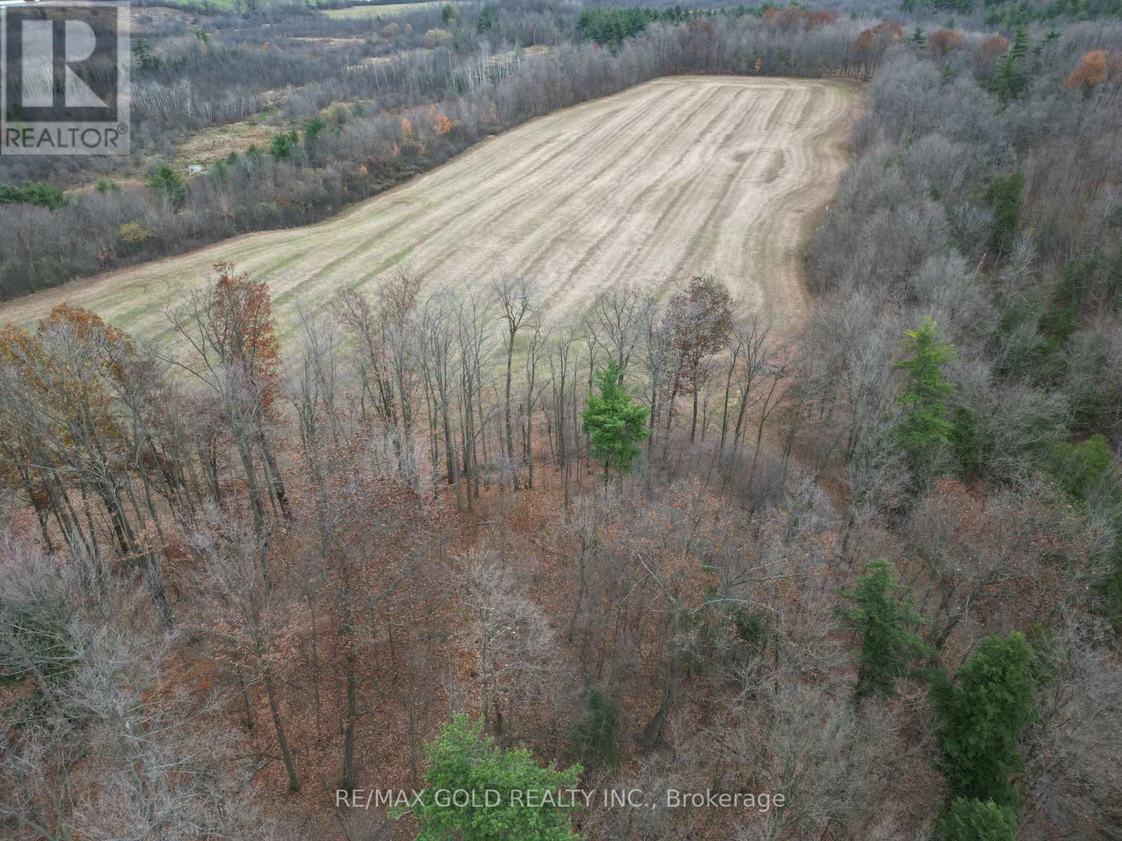 13215 HIGHWAY 7 Image 13
