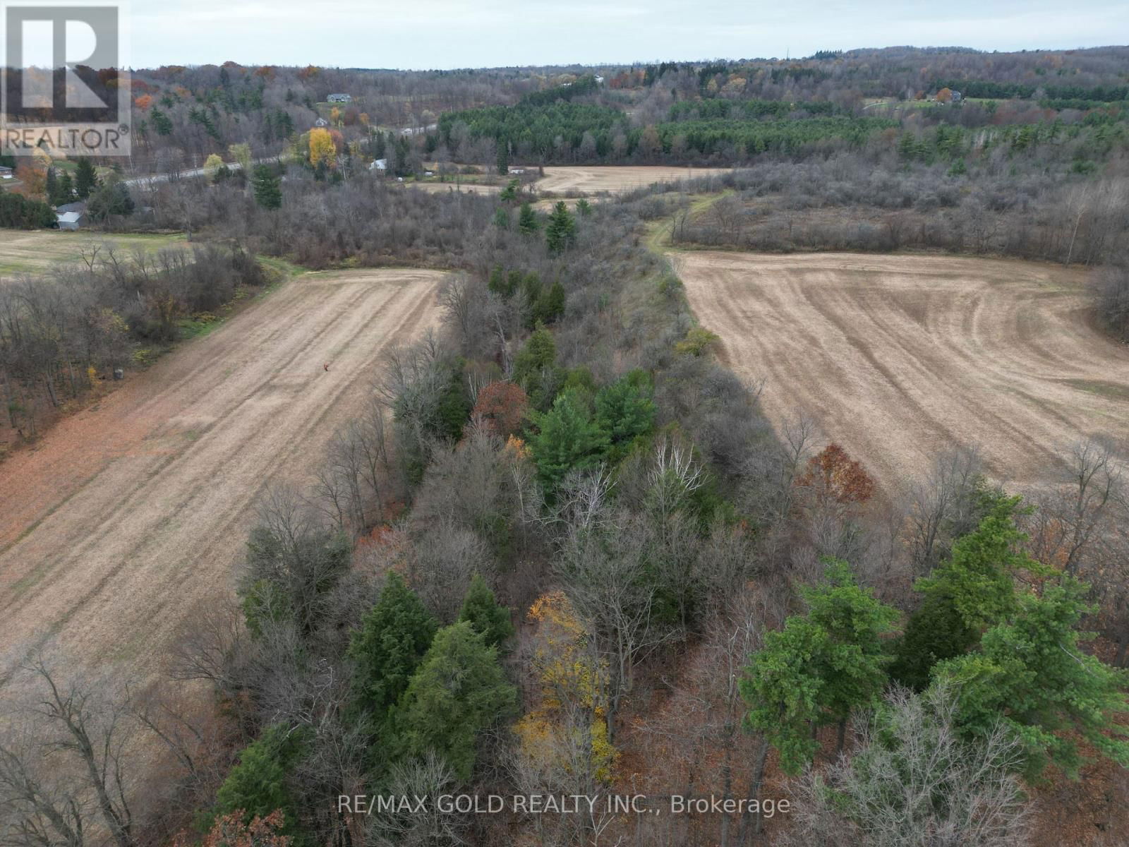 13215 HIGHWAY 7 Image 15