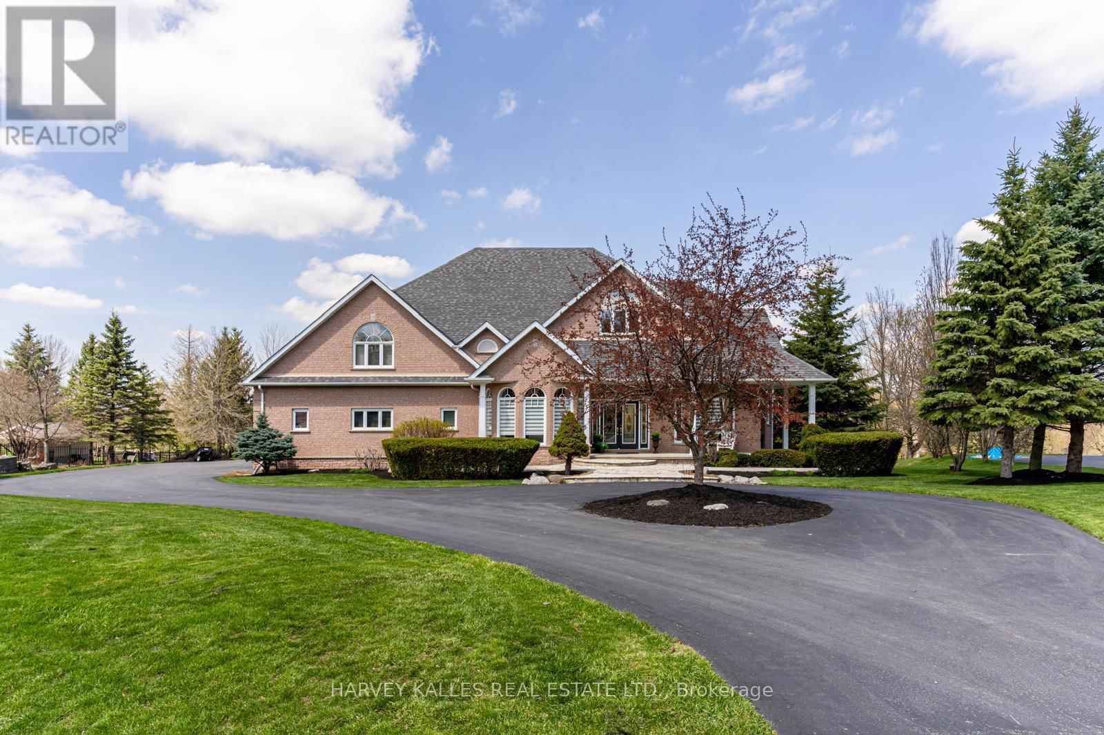 Primary Property View