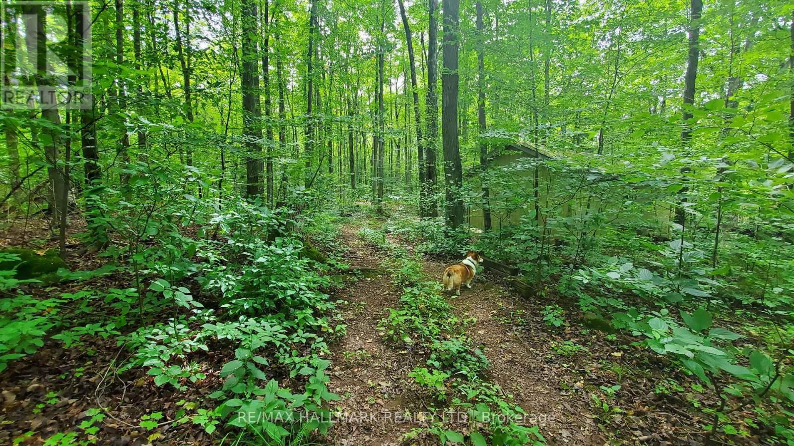 14728 HERITAGE ROAD Image 38
