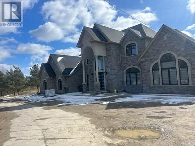 Primary Property View