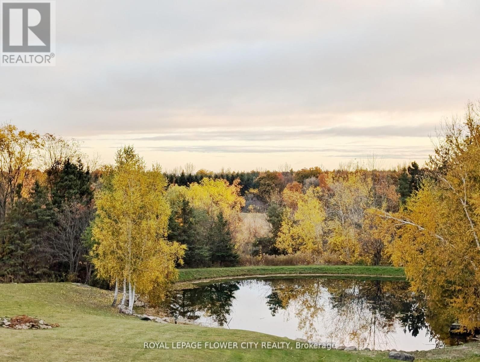 5 GLENN COURT Image 38