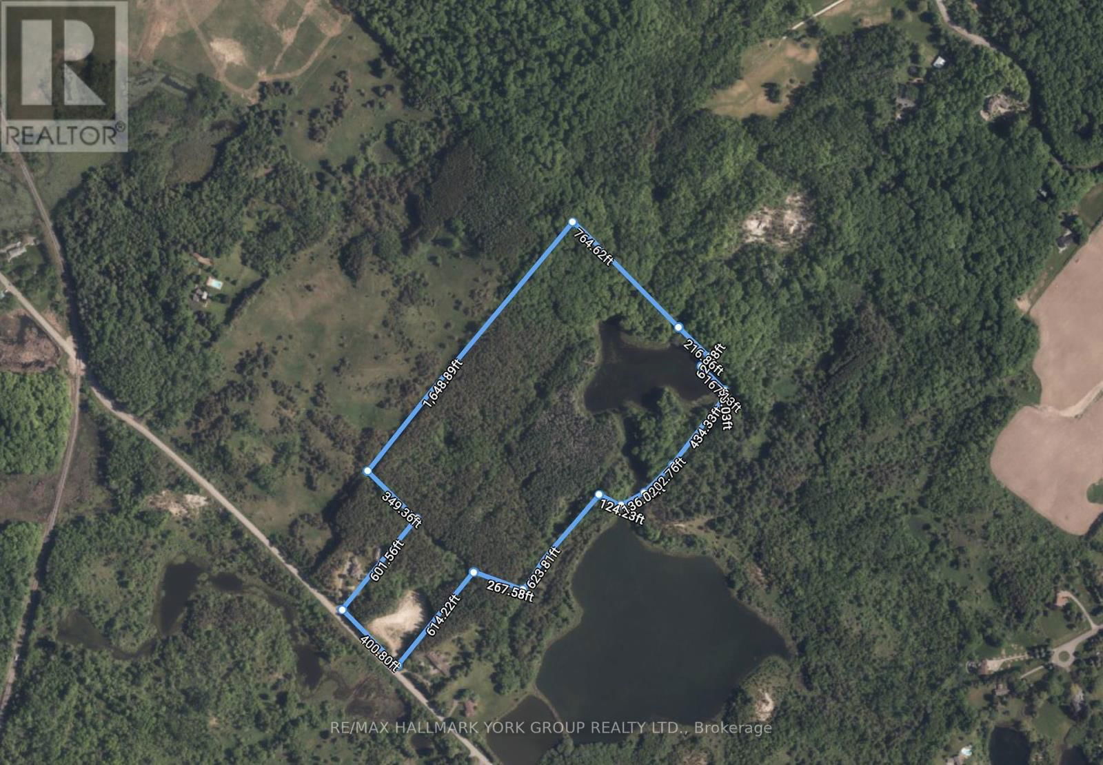 Primary Property View
