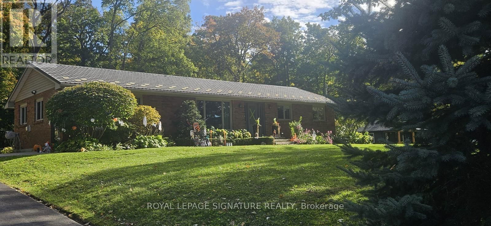 2044 KILBRIDE STREET Image 42