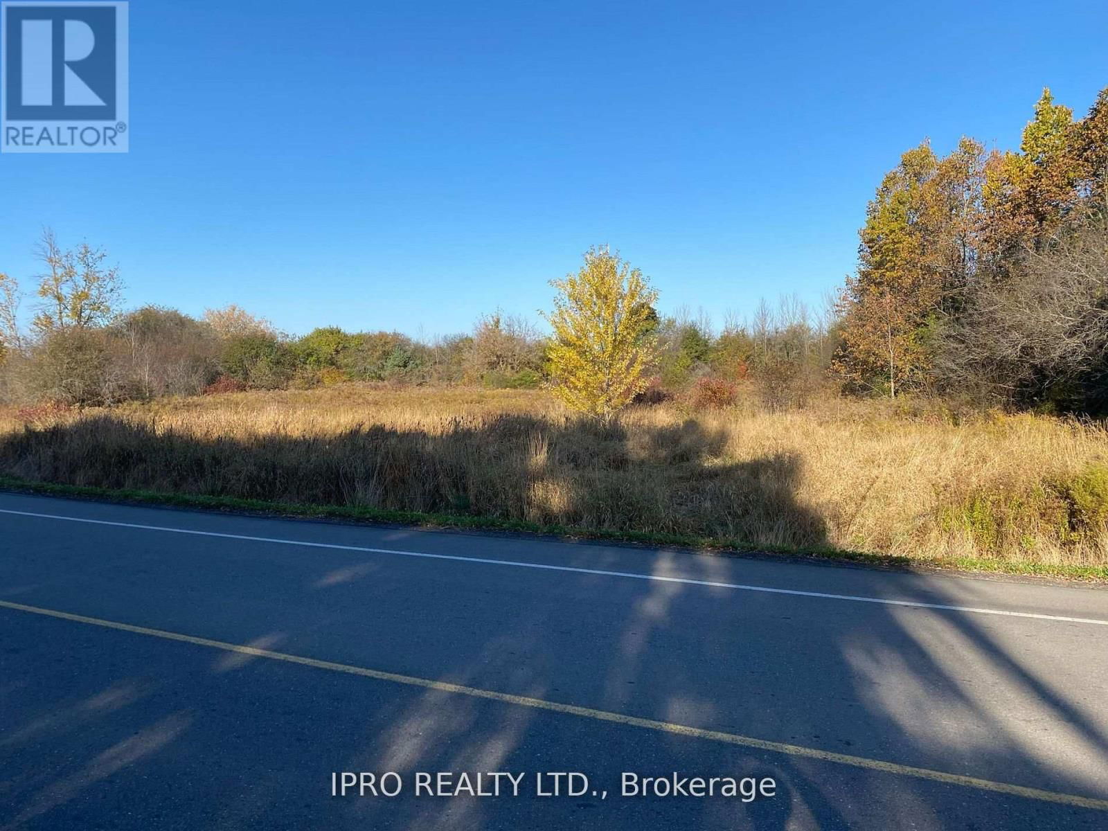Primary Property View