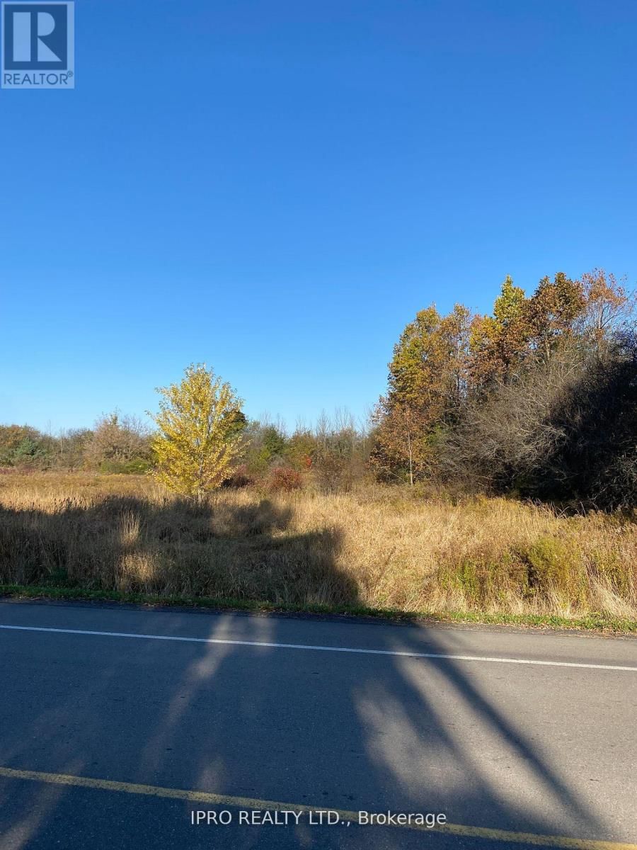 6260 CASTLEDERG SIDEROAD Image 7
