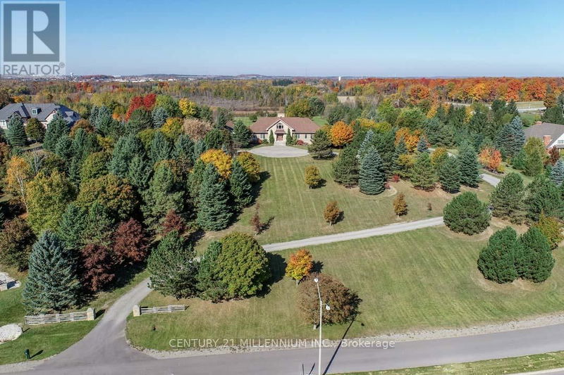 Tertiary Property View