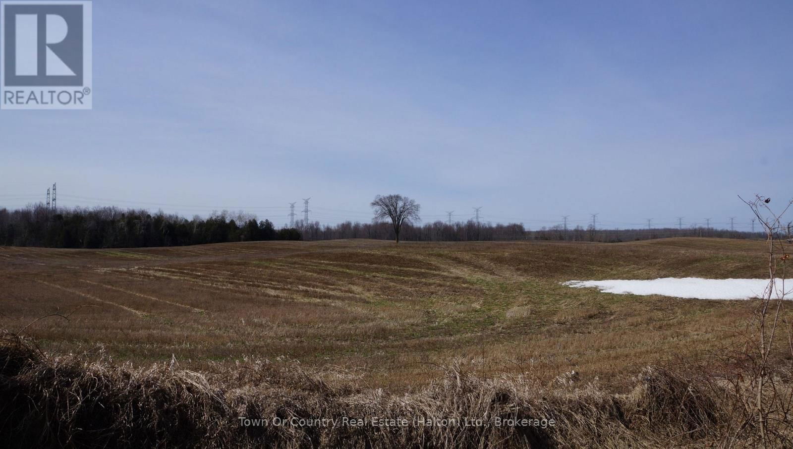 10894 32 SIDEROAD NORTH Image 6
