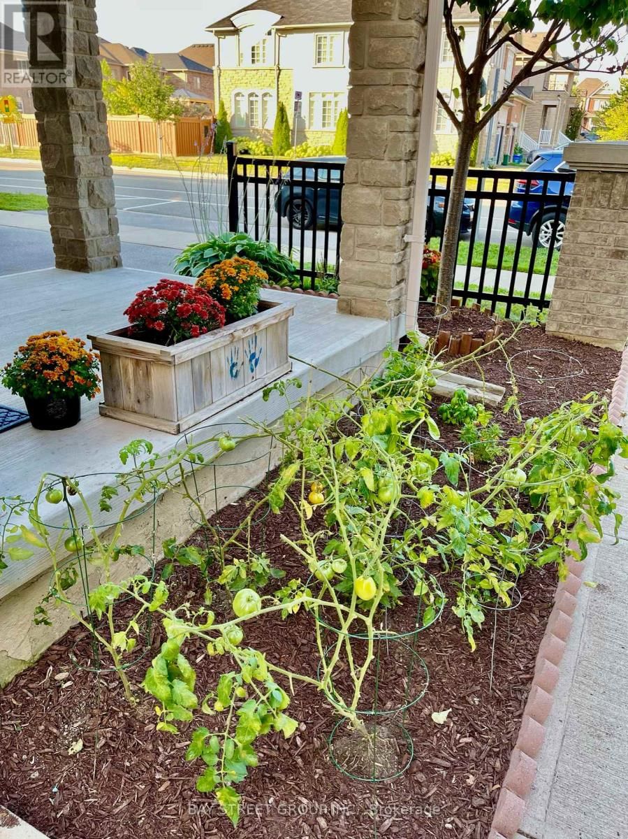2564 GRAND OAK TRAIL Image 3