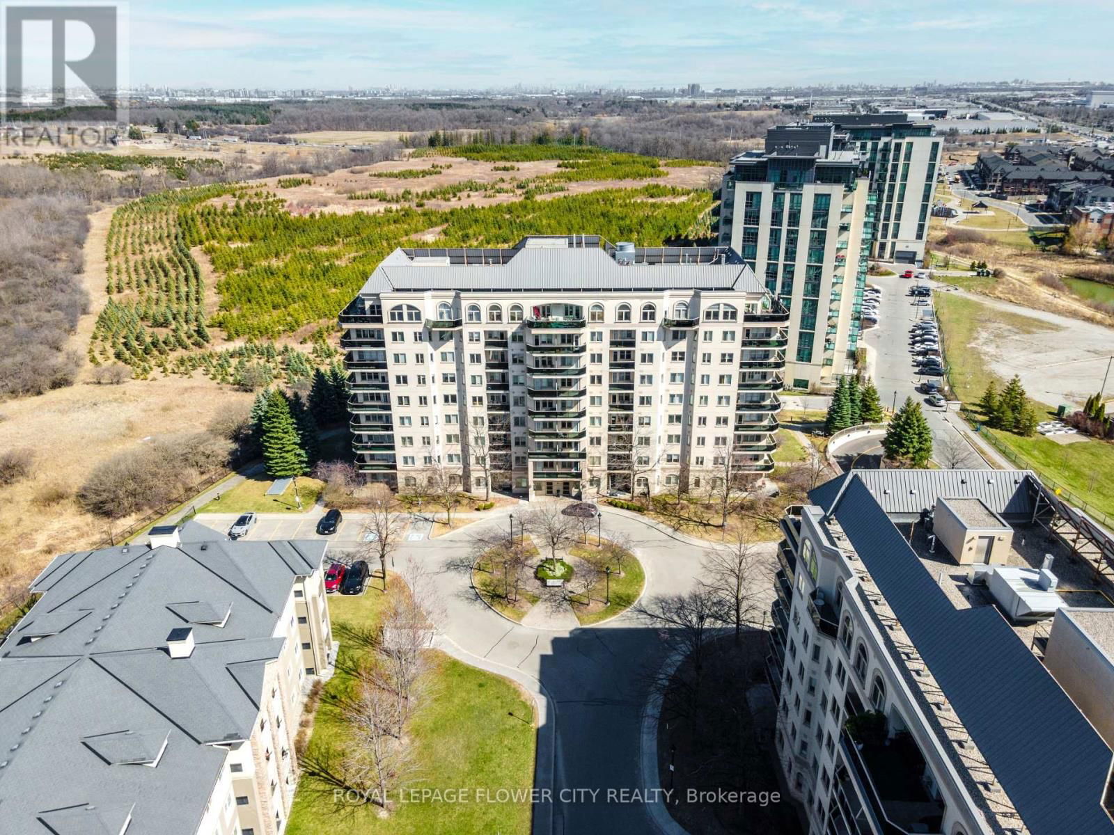 701 - 10 DAYSPRING CIRCLE Image 46