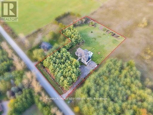Primary Property View