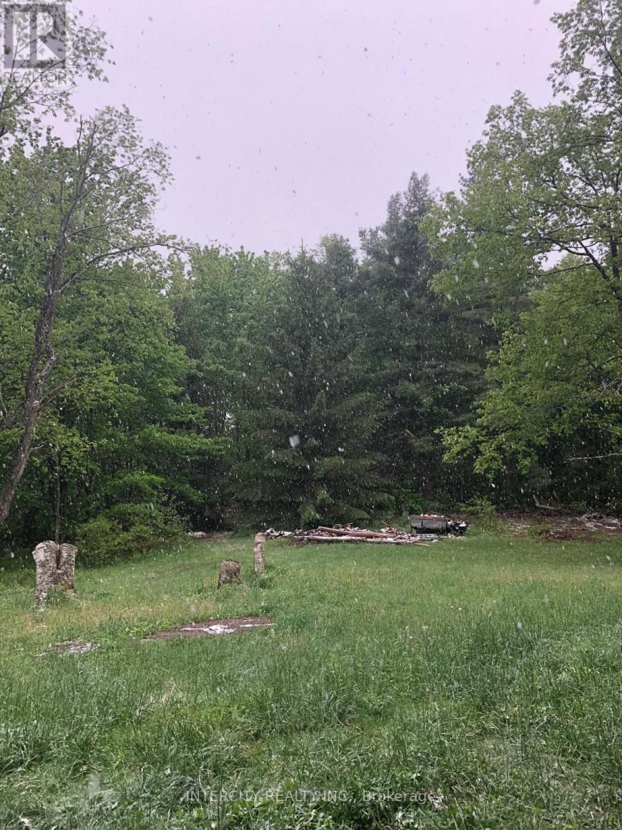 19 TANGLEWOOD DRIVE Image 12