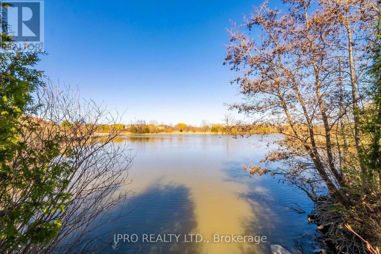 470 SAVOLINE BOULEVARD Image 45