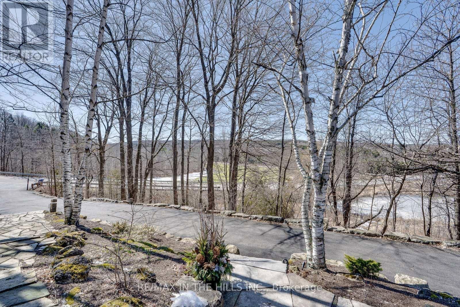 15357 MCLAUGHLIN ROAD Image 4