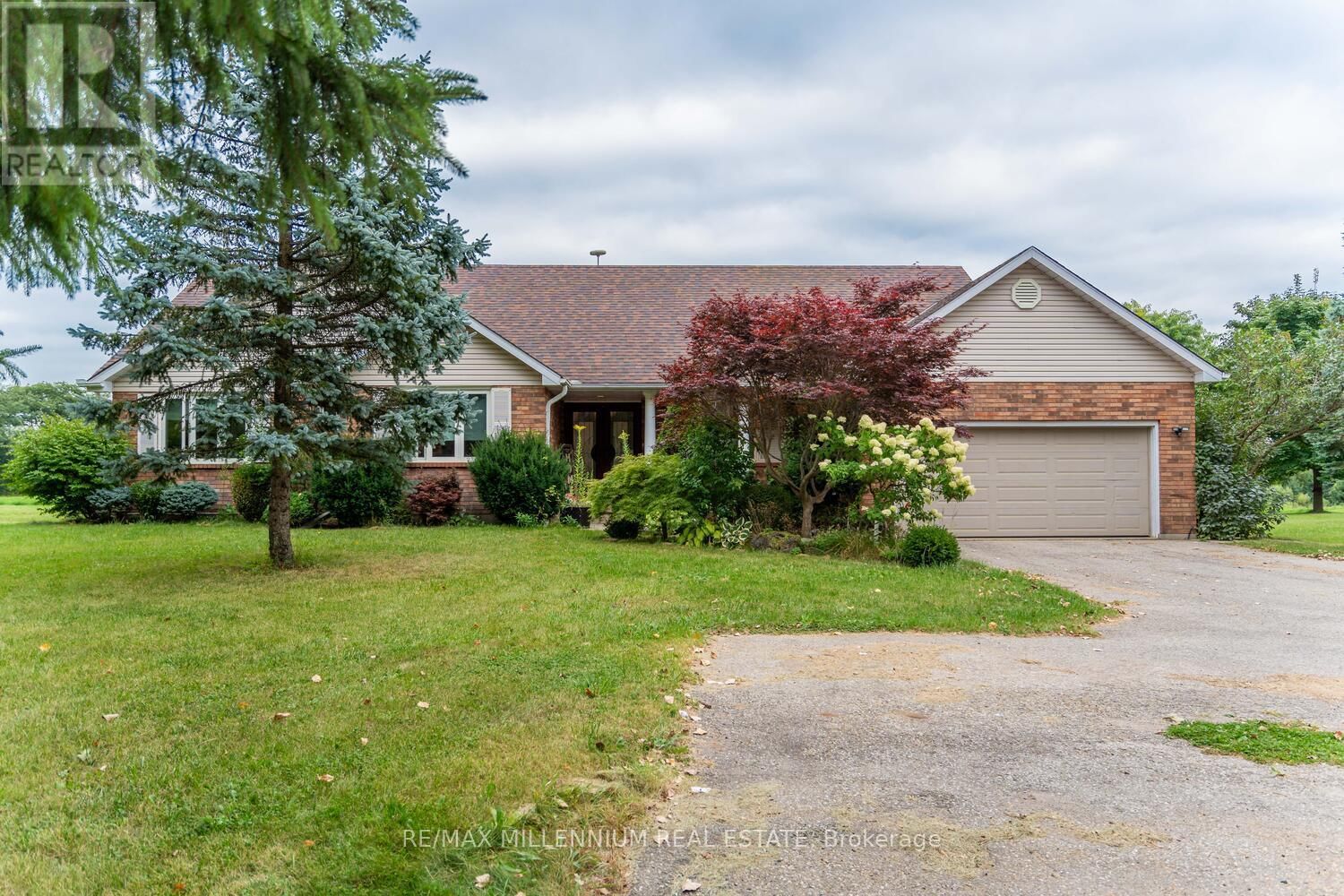 Primary Property View