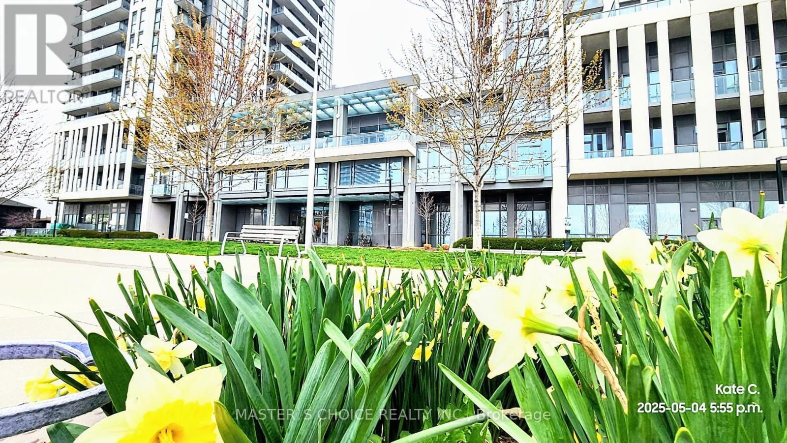 2002 - 15 ZORRA STREET Image 40