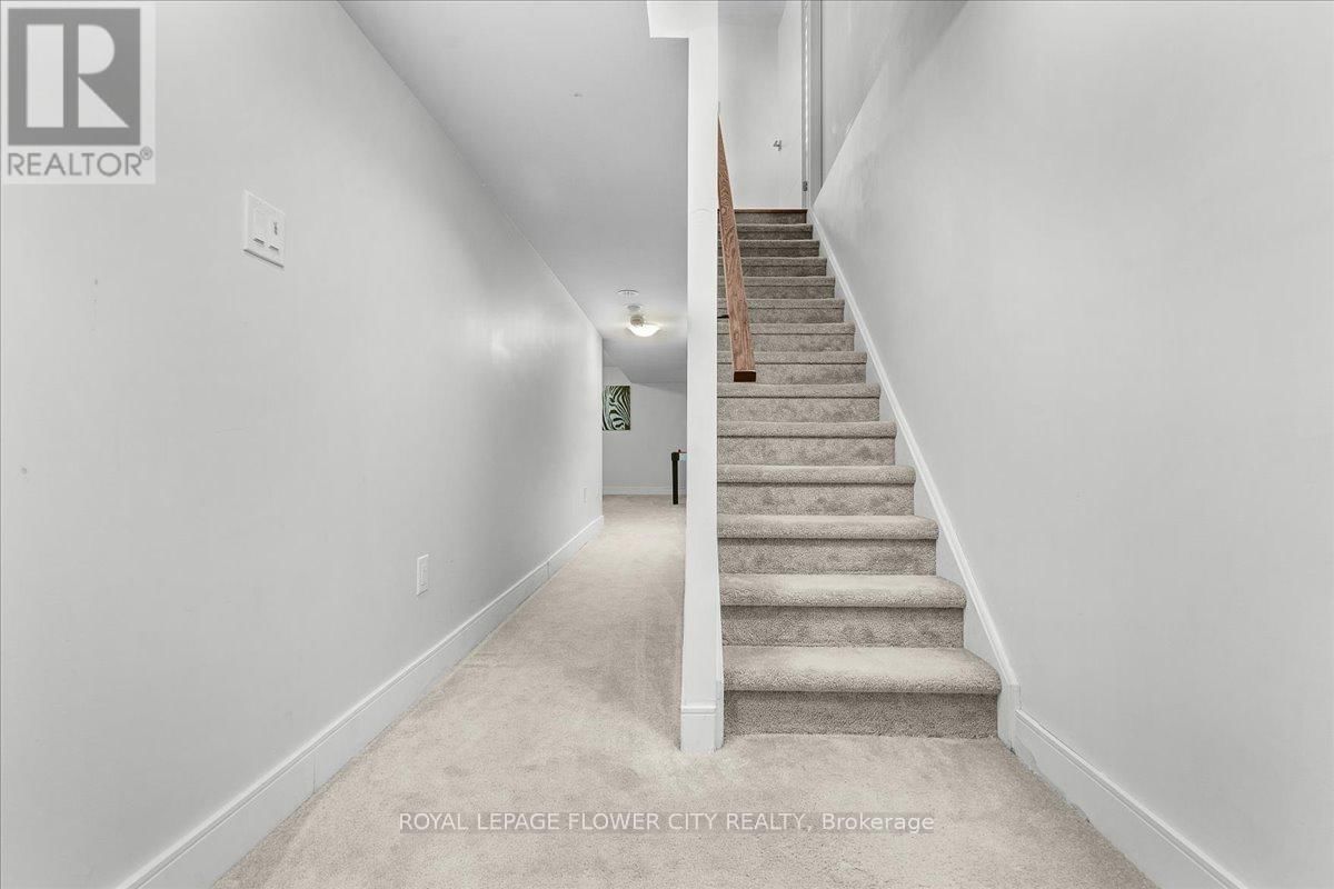 8 KERSEY LANE Image 39