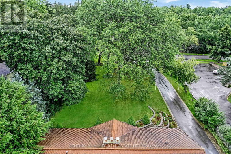 Tertiary Property View