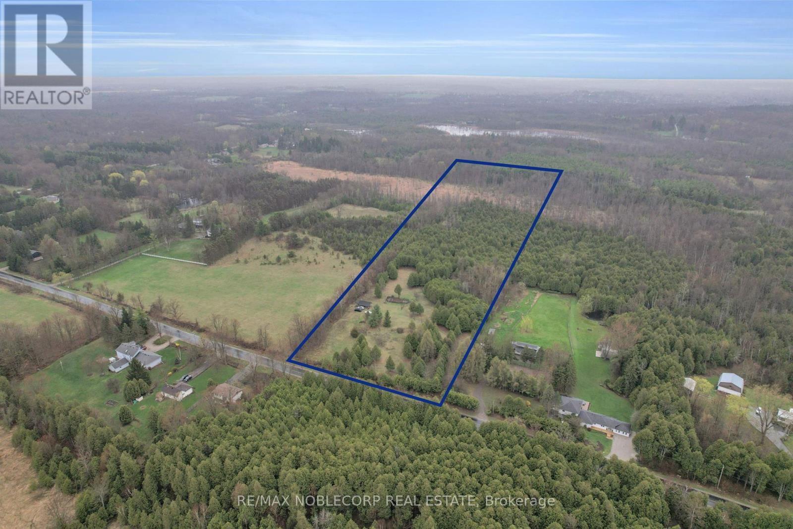 Primary Property View