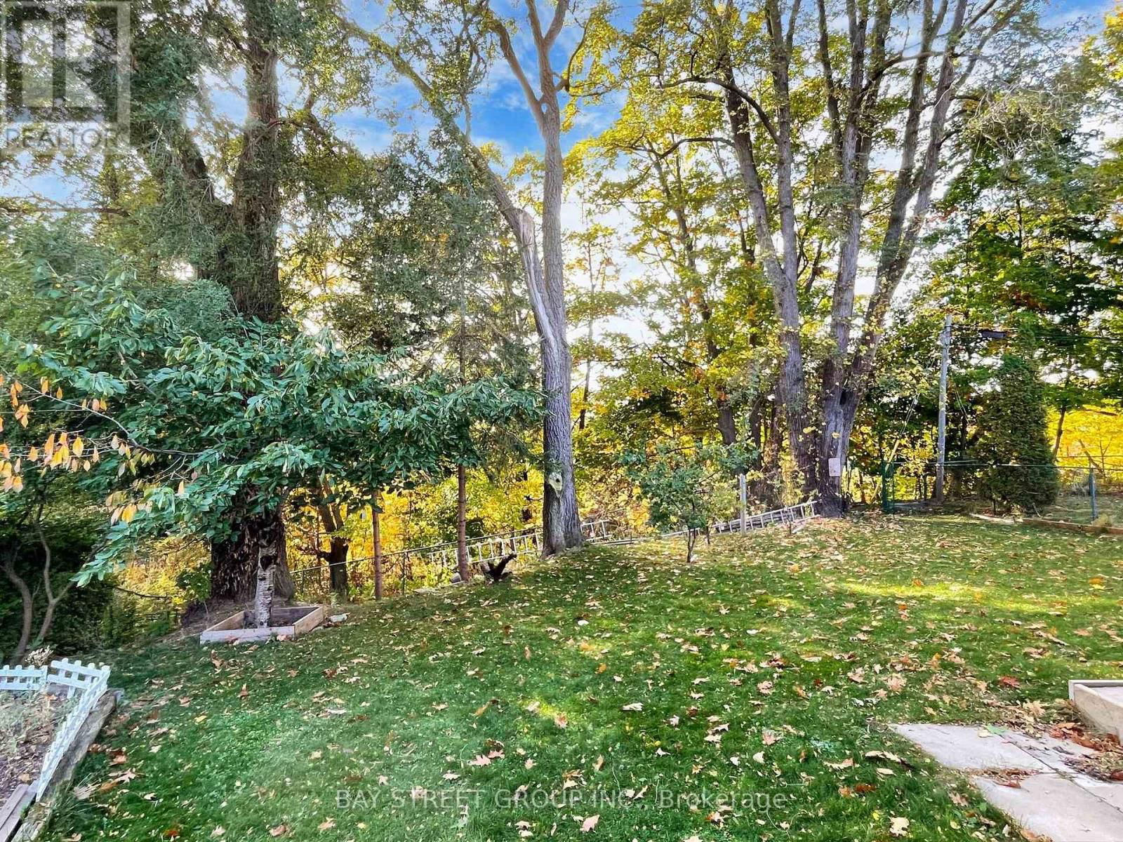 45 ENFIELD AVENUE Image 28
