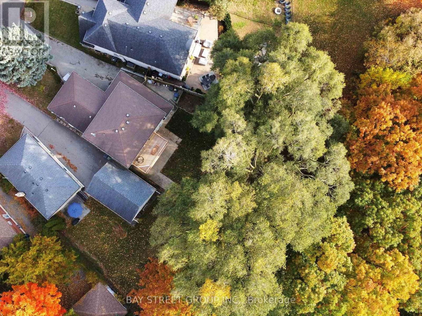 45 ENFIELD AVENUE Image 29