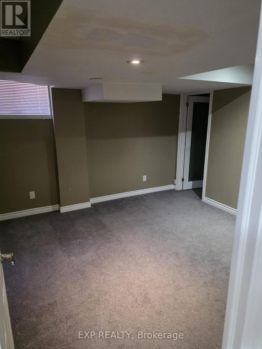 Basement - 29 RUBYSILVER DRIVE Image 4