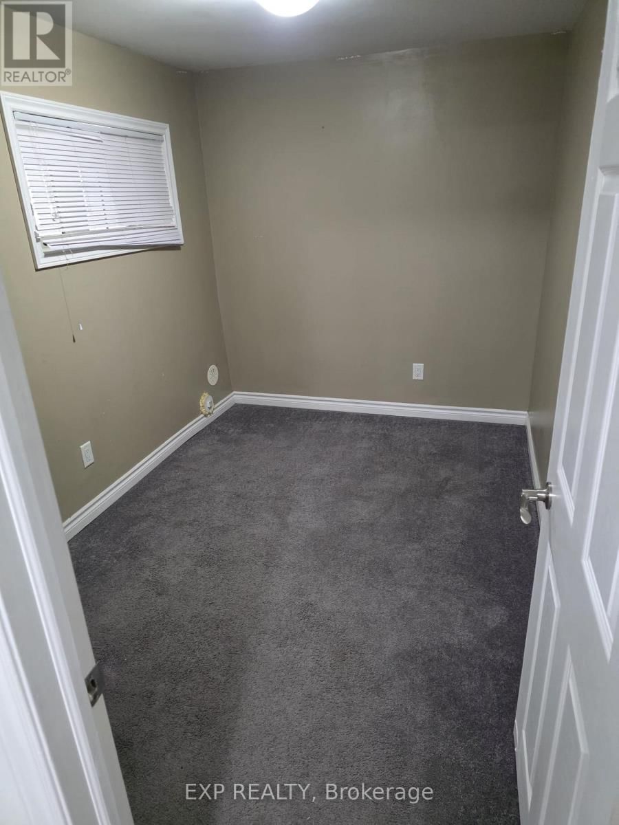 Basement - 29 RUBYSILVER DRIVE Image 7