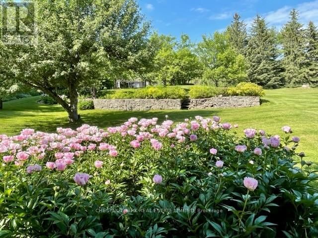 16261 SHAWS CREEK ROAD Image 27