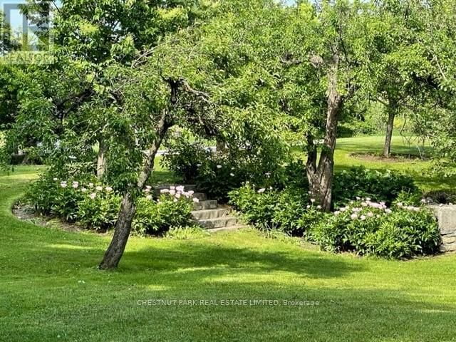 16261 SHAWS CREEK ROAD Image 29