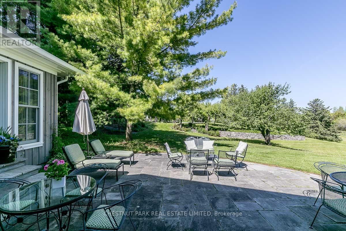 16261 SHAWS CREEK ROAD Image 31