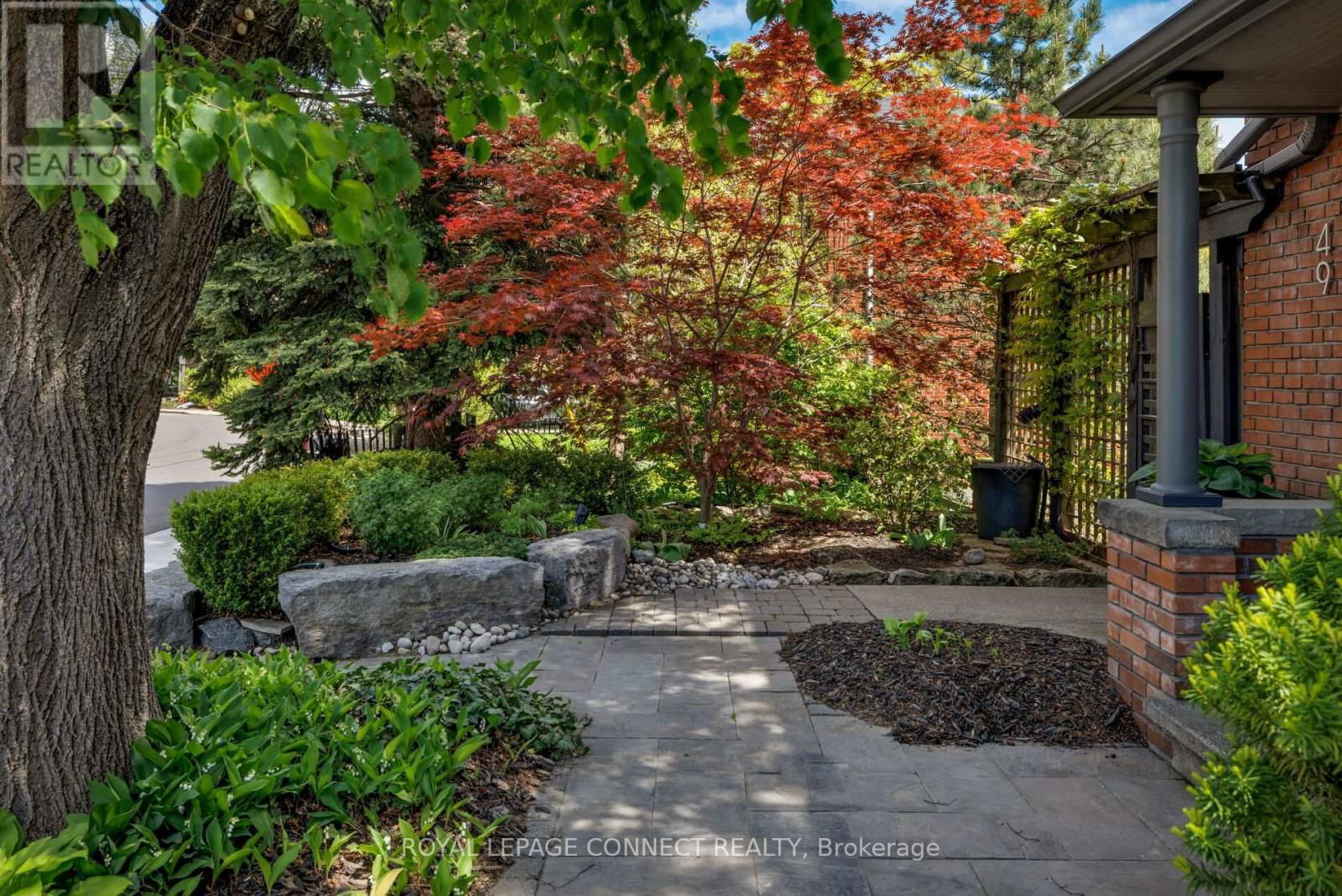 49 EVELYN AVENUE Image 38