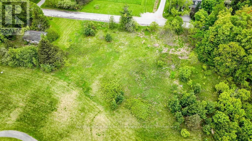 8220 10 SIDE ROAD Image 12