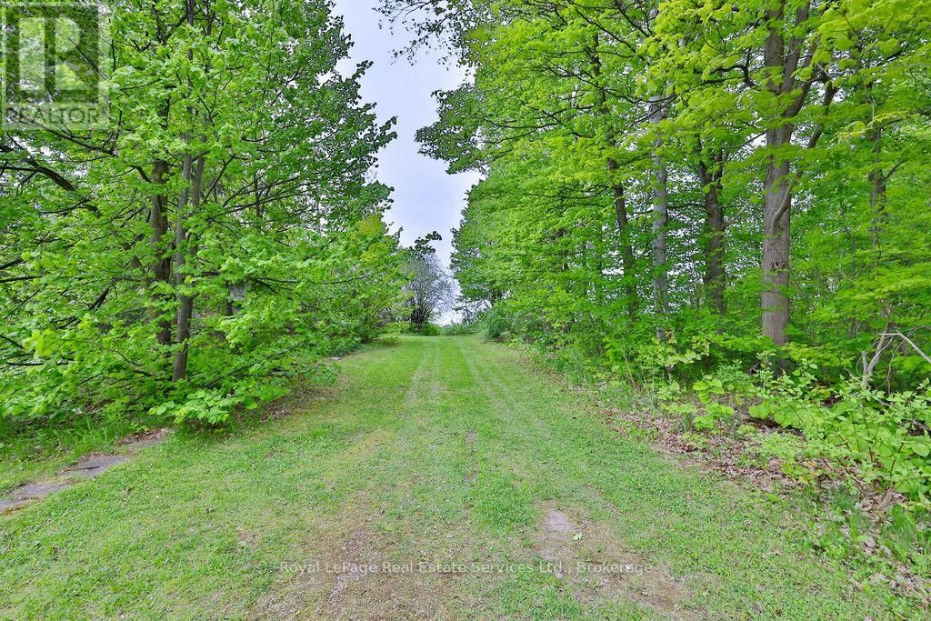 8220 10 SIDE ROAD Image 13