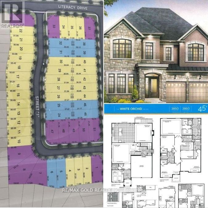 31 DOLOMITE DRIVE Image 2