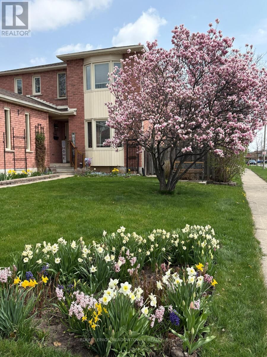 262 MURRAY STREET Image 3