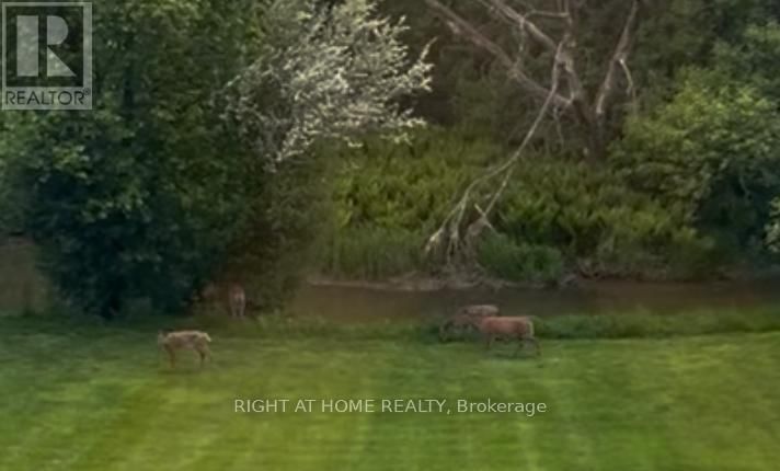42 VALLEYVIEW ROAD Image 44
