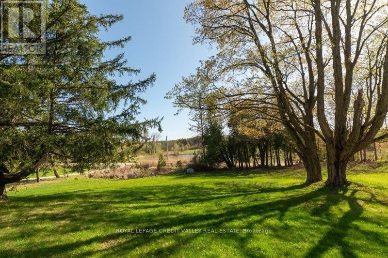 15719 SHAWS CREEK ROAD Image 6