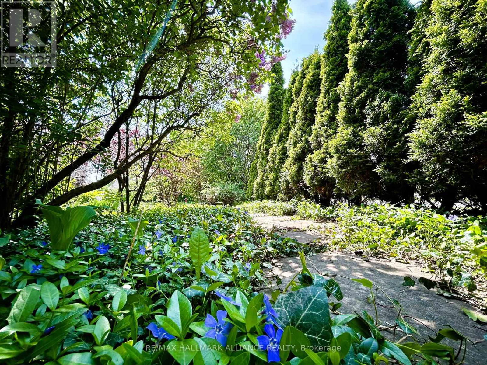 1089 CHURCHILL AVENUE Image 41