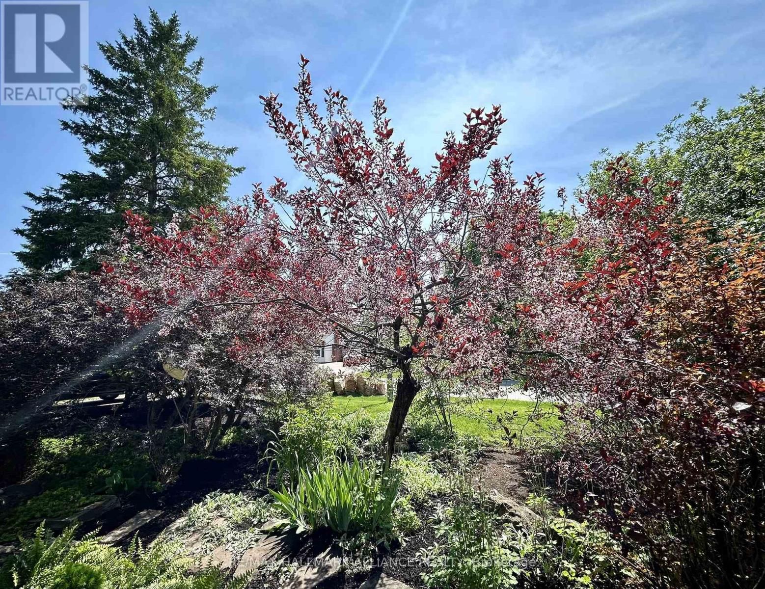 1089 CHURCHILL AVENUE Image 5