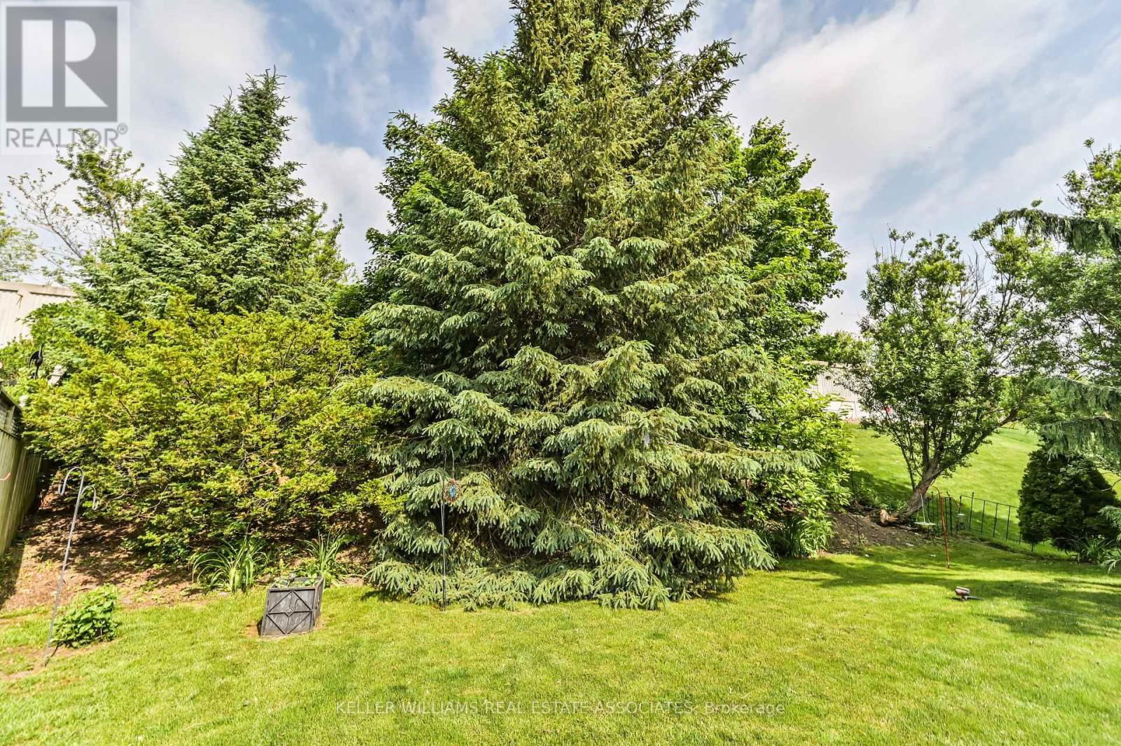7514 BLACK WALNUT TRAIL Image 33