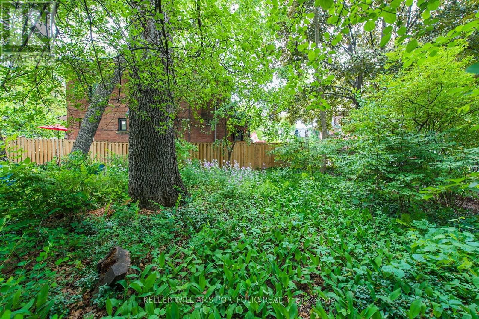 254 EVELYN AVENUE Image 49