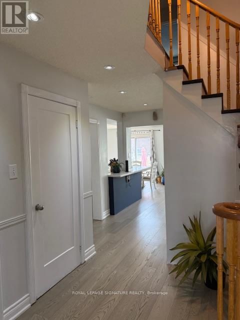5 KINTYRE STREET Image 6