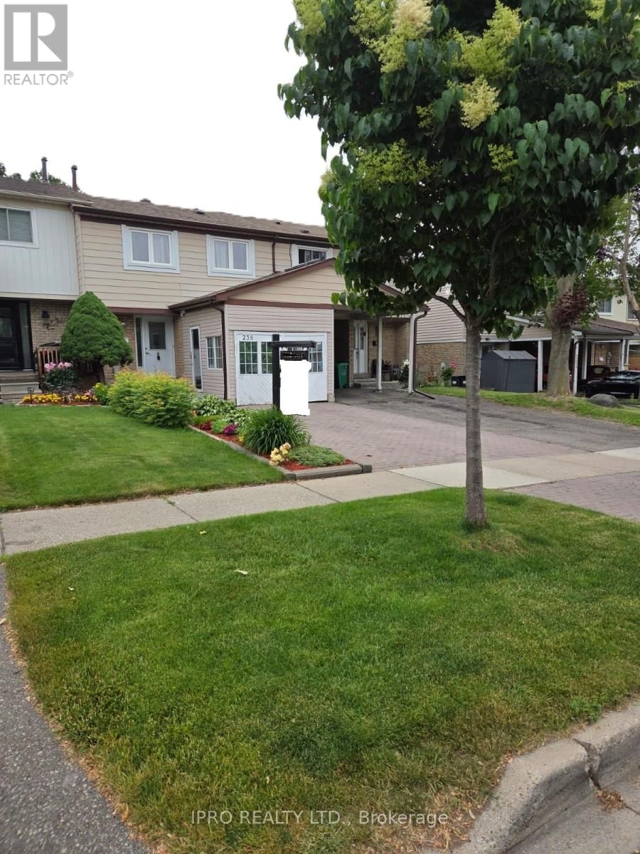Primary Property View