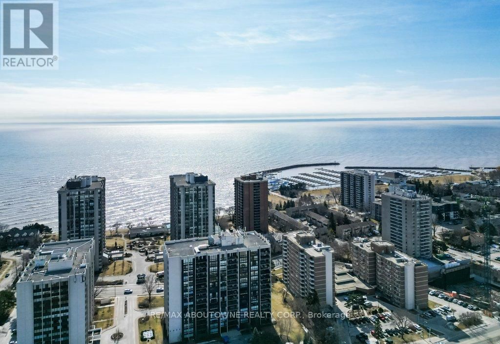 Primary Property View