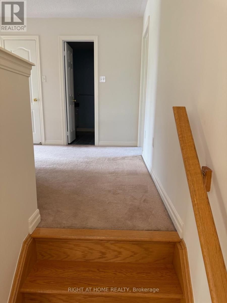 2499 SCOTCH PINE DRIVE Image 13
