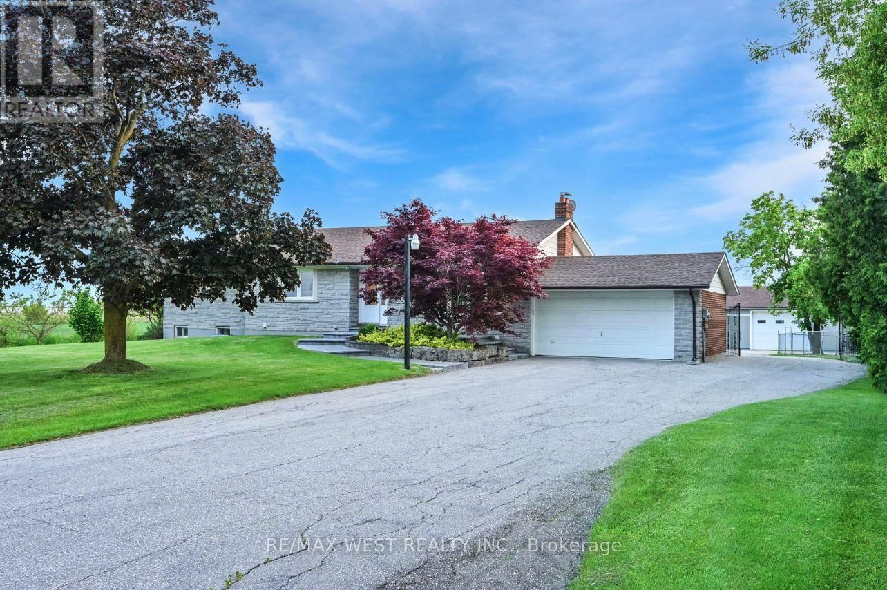 Primary Property View