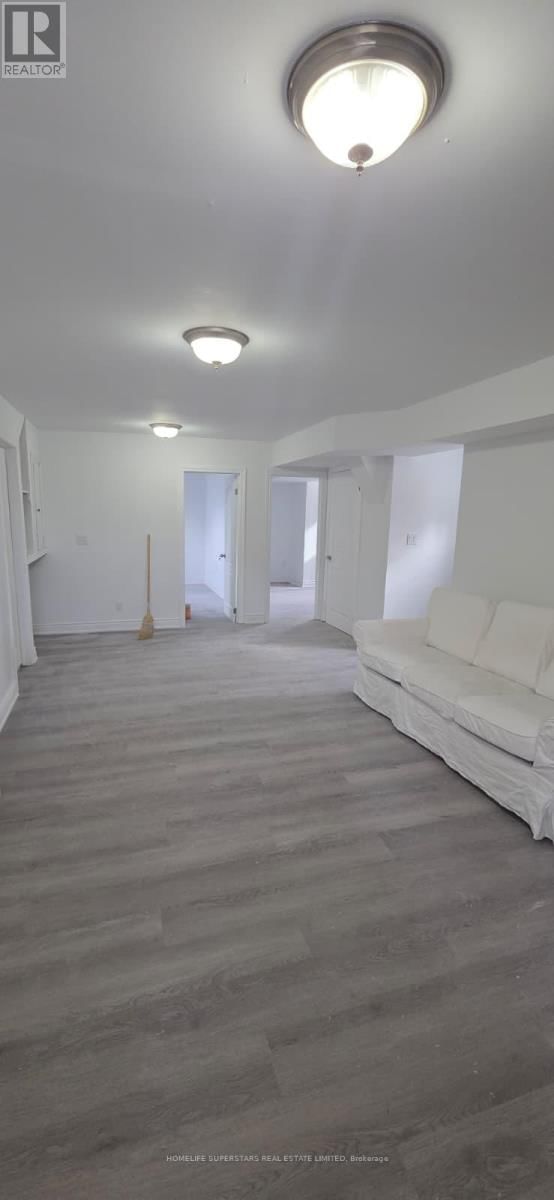 Basement - 28 ESTATEVIEW CIRCLE Image 8