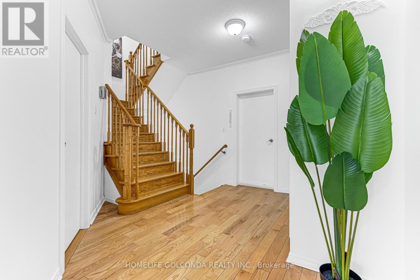 22 TROYER AVENUE Image 5